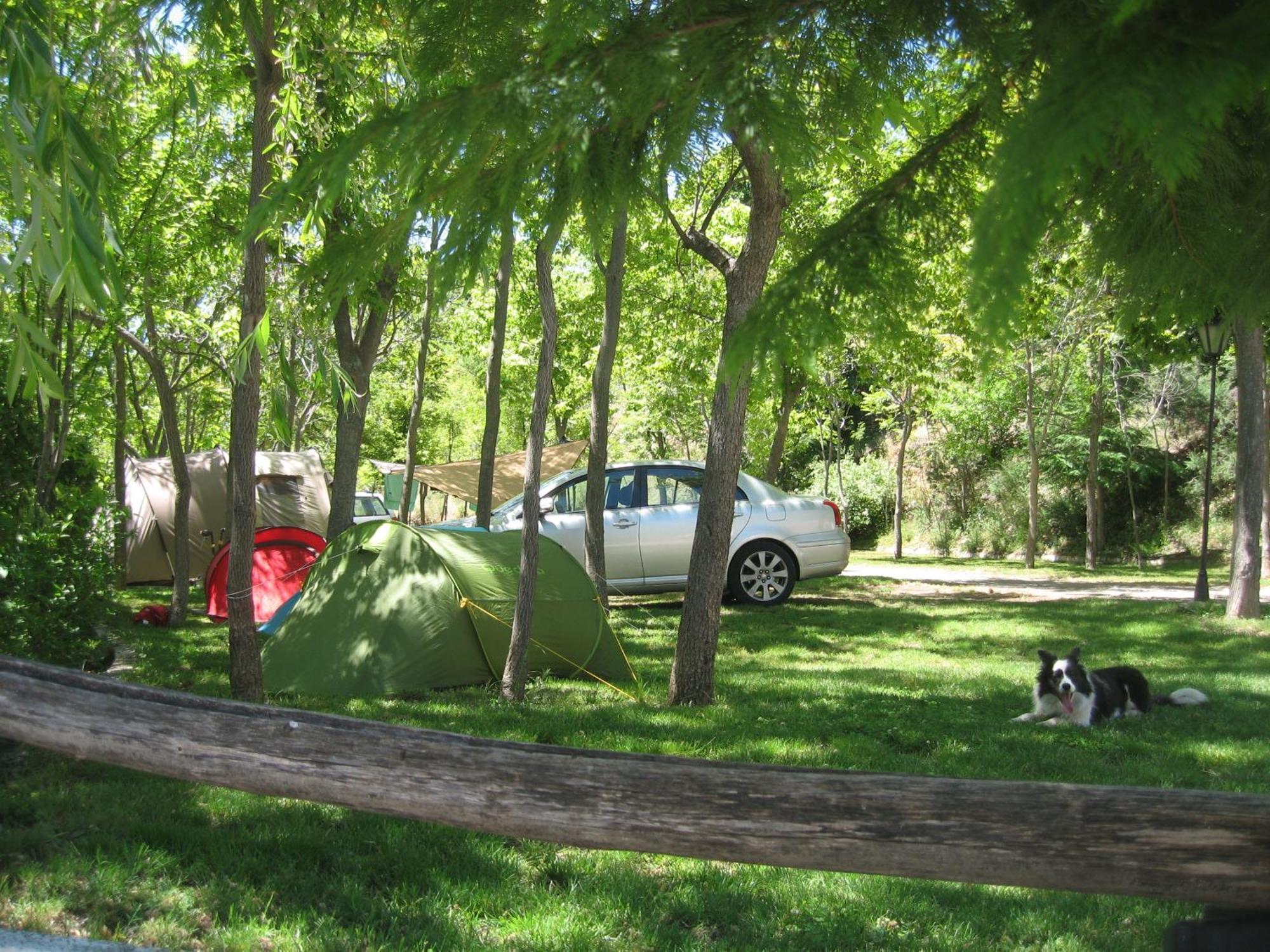 Camping Trevélez Exteriör bild